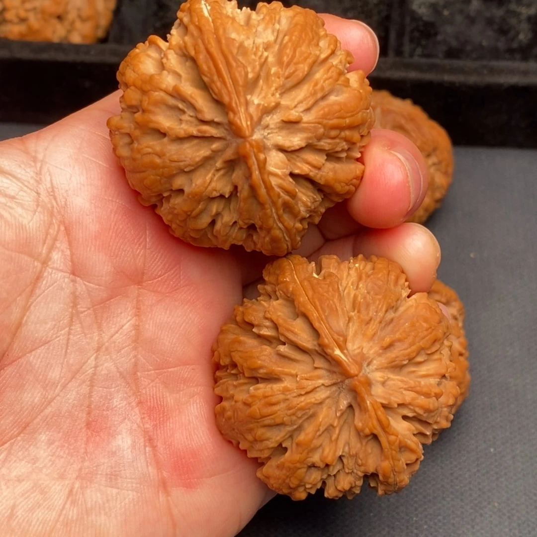 秦岭野生文玩核桃