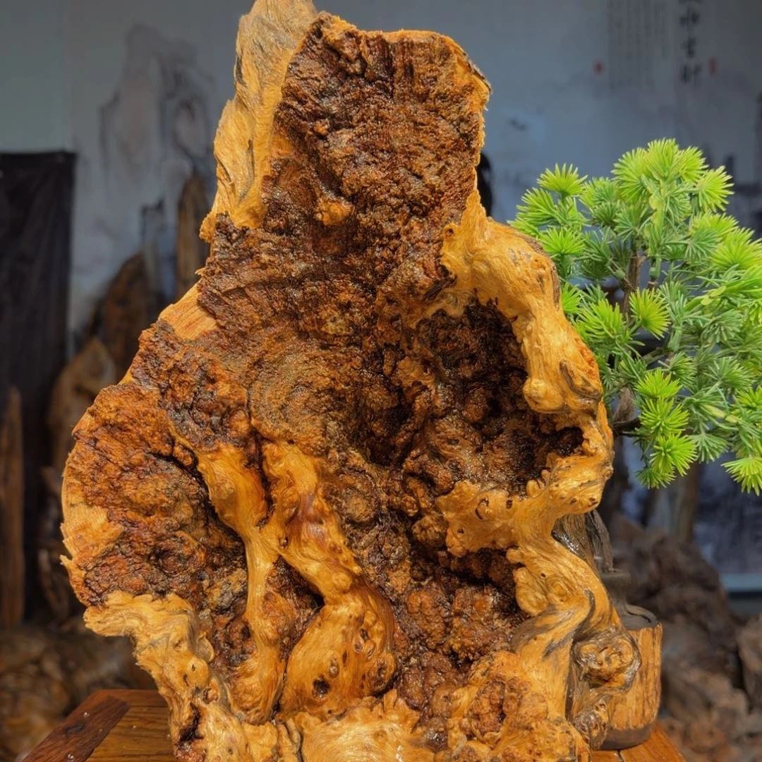 贵***）木三丰琥珀木 天然摆件7