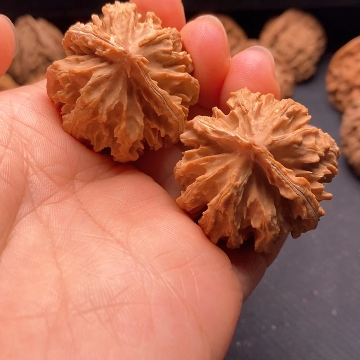 秦岭野生文玩核桃