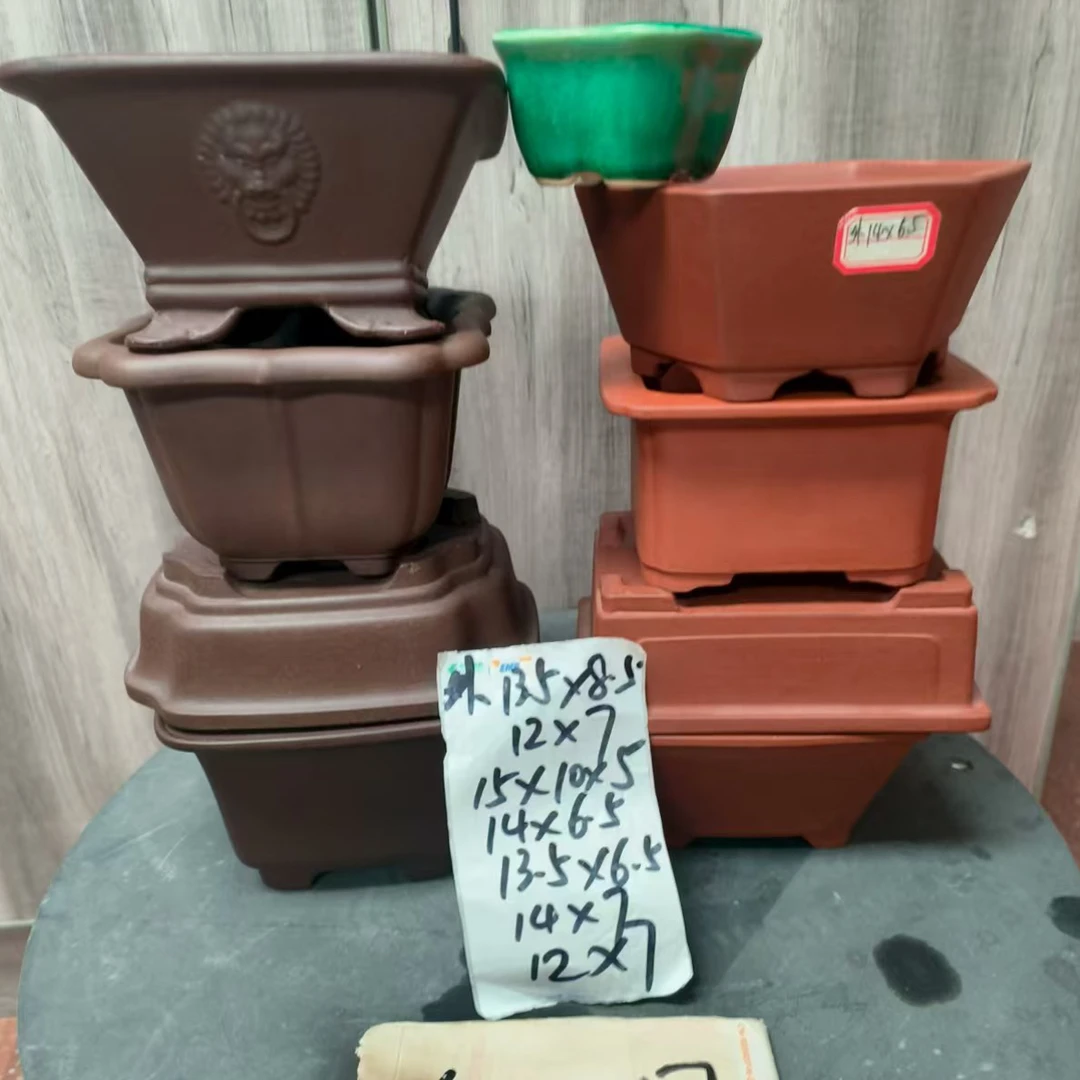 尚飞紫砂花盆直播链接