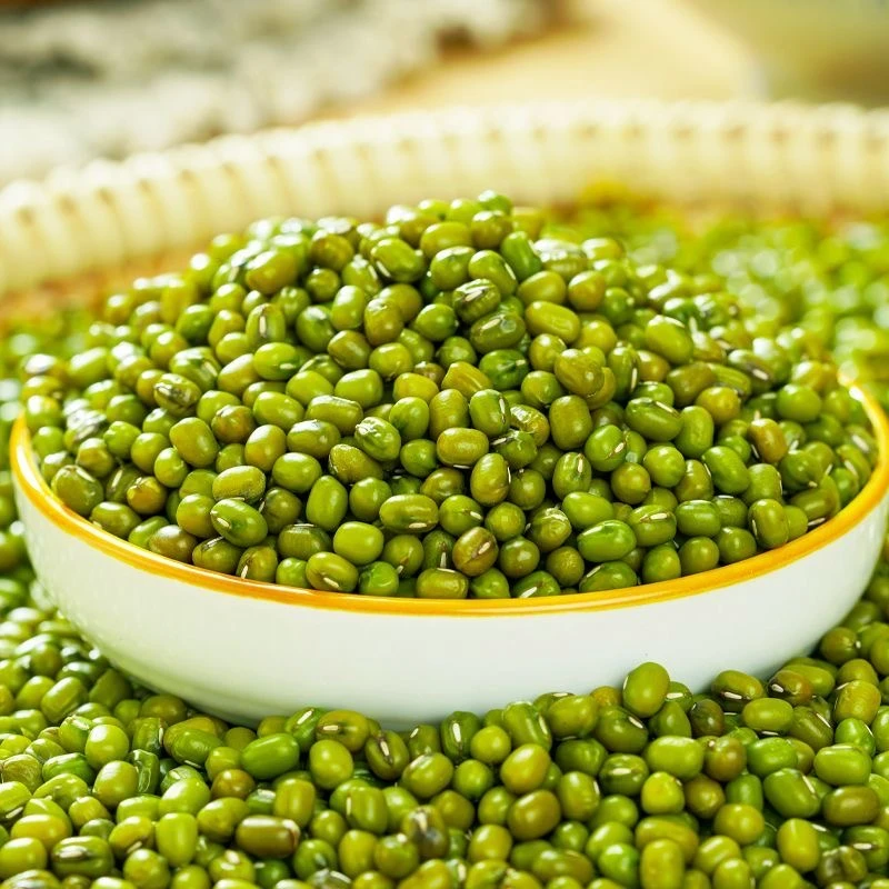 薄皮绿豆新绿豆农家绿豆好煮易出沙煮粥经典滋补方小绿豆