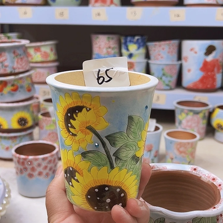 粗陶陶瓷多肉植物手绘花盆65