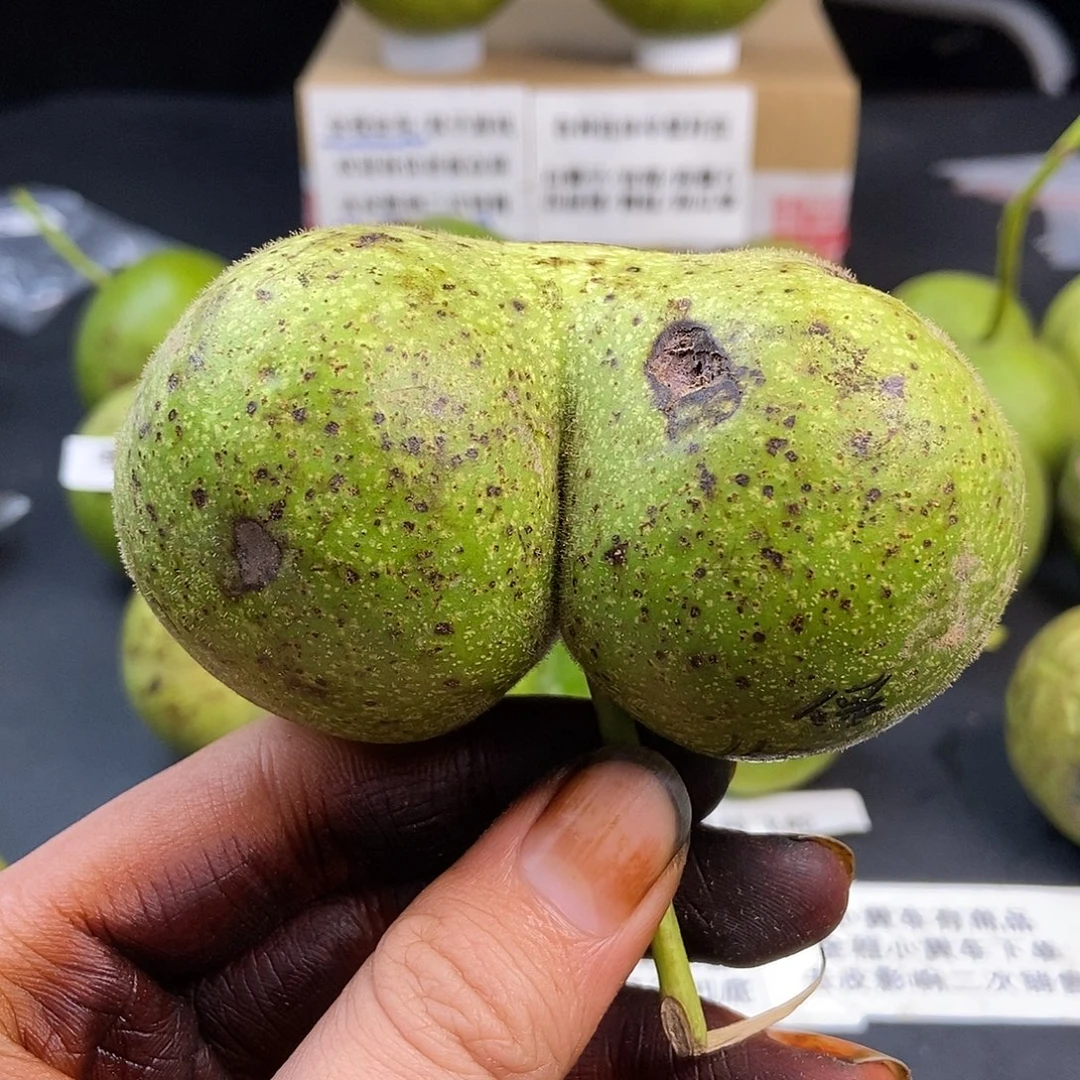 核桃磨盘 猫耳朵 带皮文玩核桃定制款 去皮影响二次销售