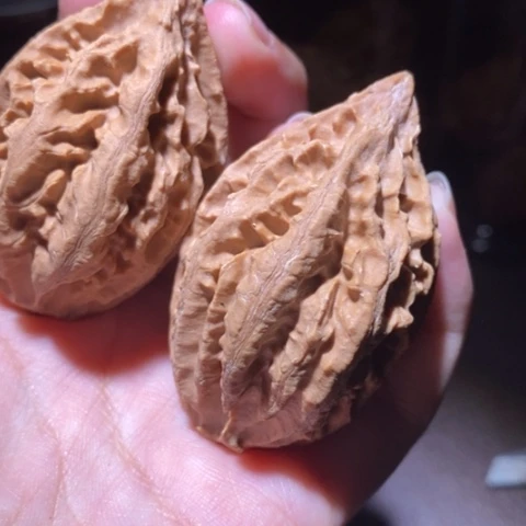 把件文玩核桃东北野生楸子小园 106