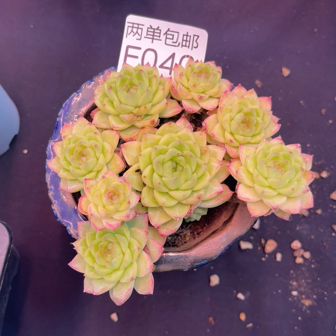 哈哈哈哈哈哈哈哈哈040