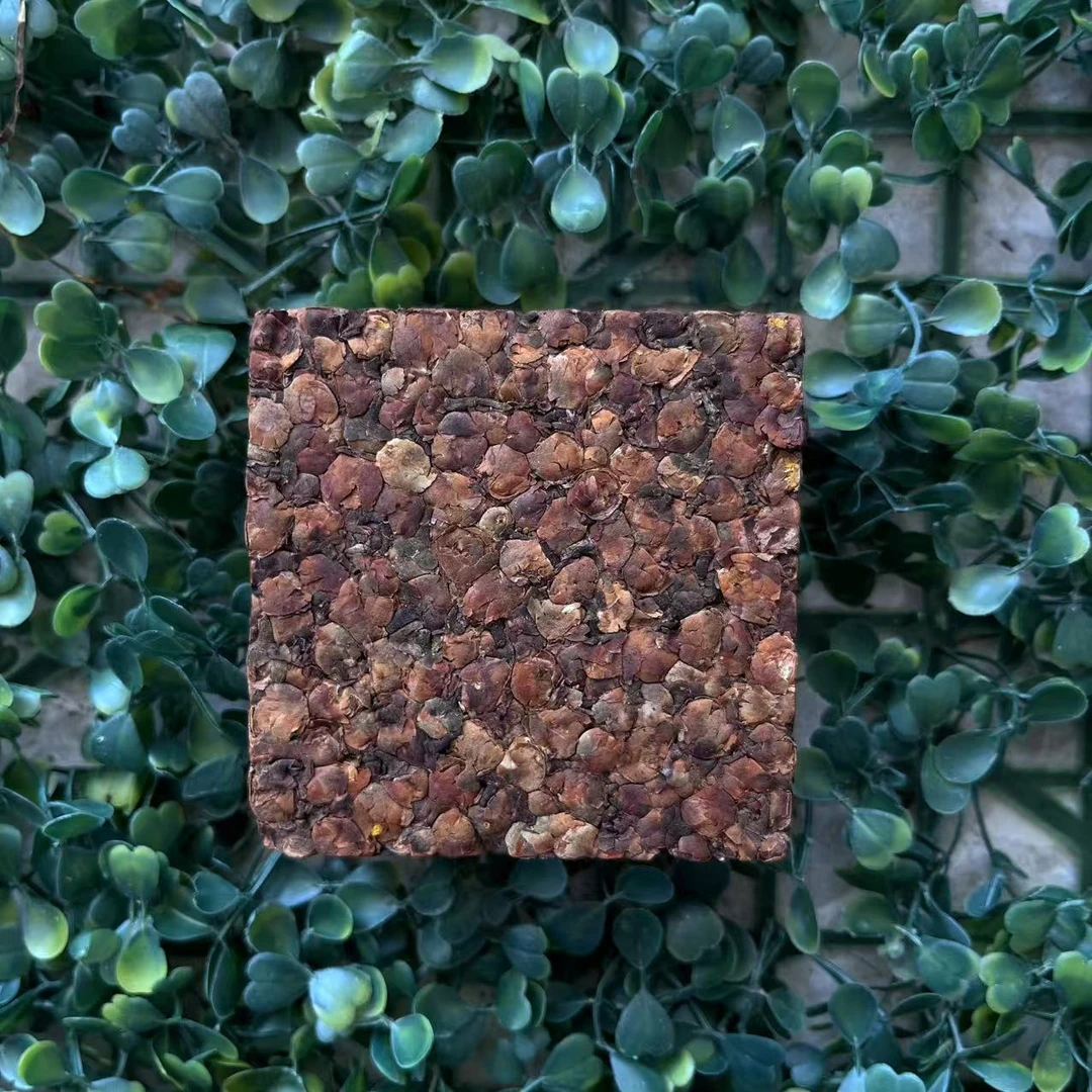 雨腾古茶  C木X人”YW丹”Z强X N砖200g/砖 （4月27）