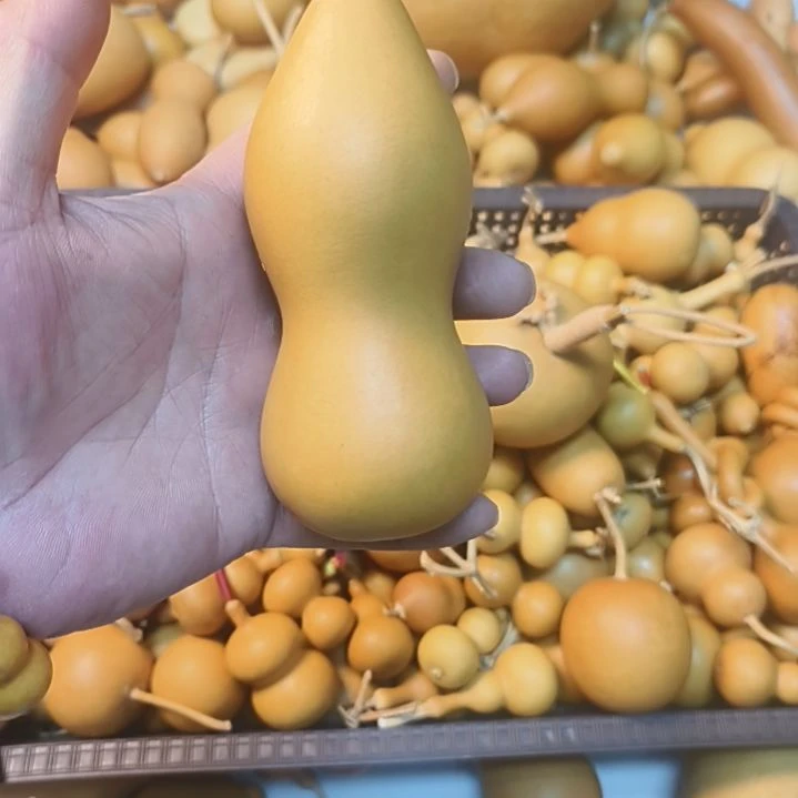 随单走的便宜本章