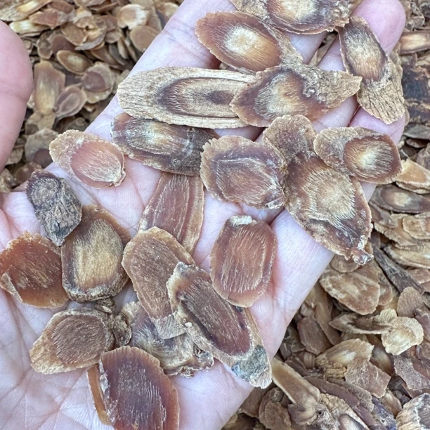 参味浓郁菊花心的二刀片头尾片高丽参