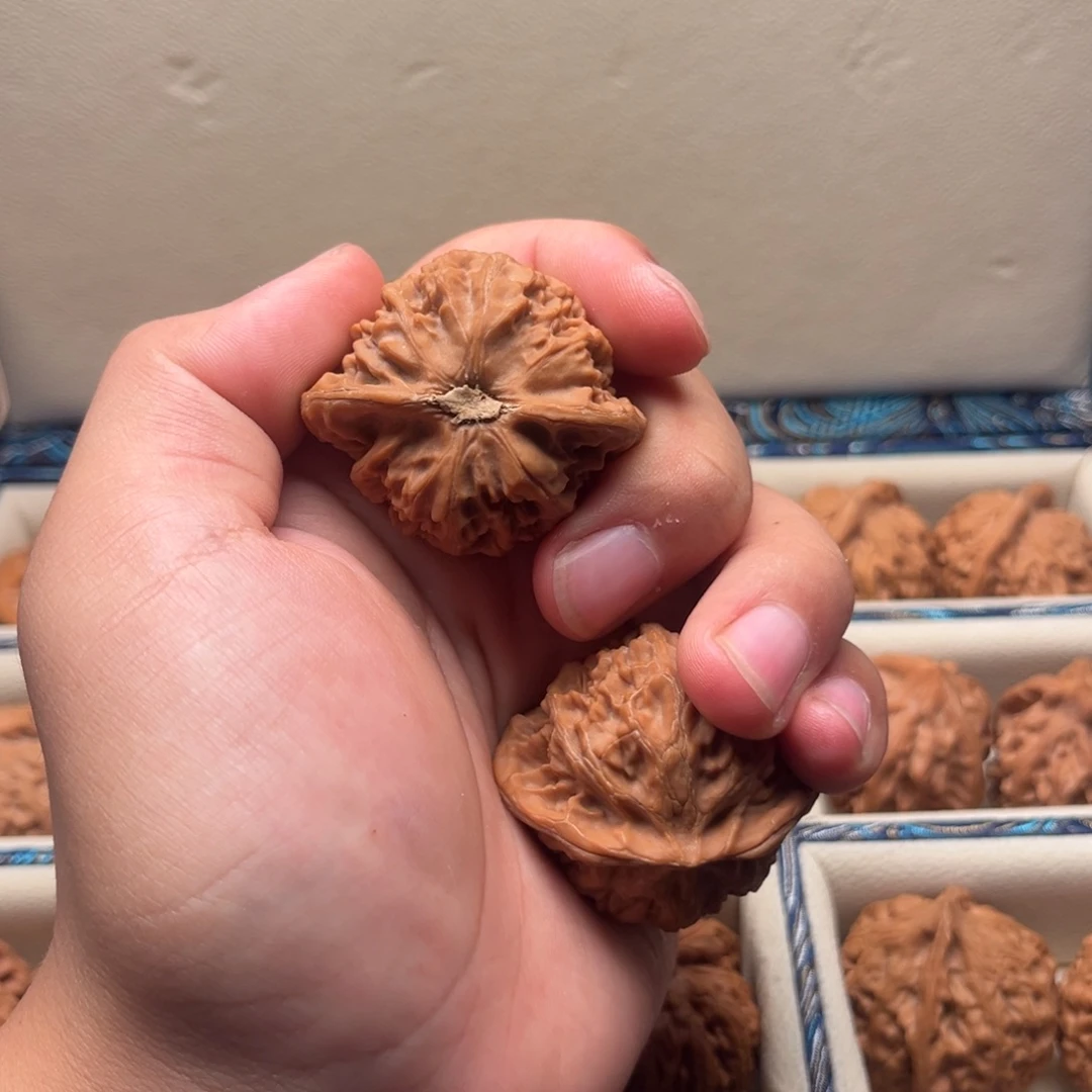 44全品宫灯精对毕业