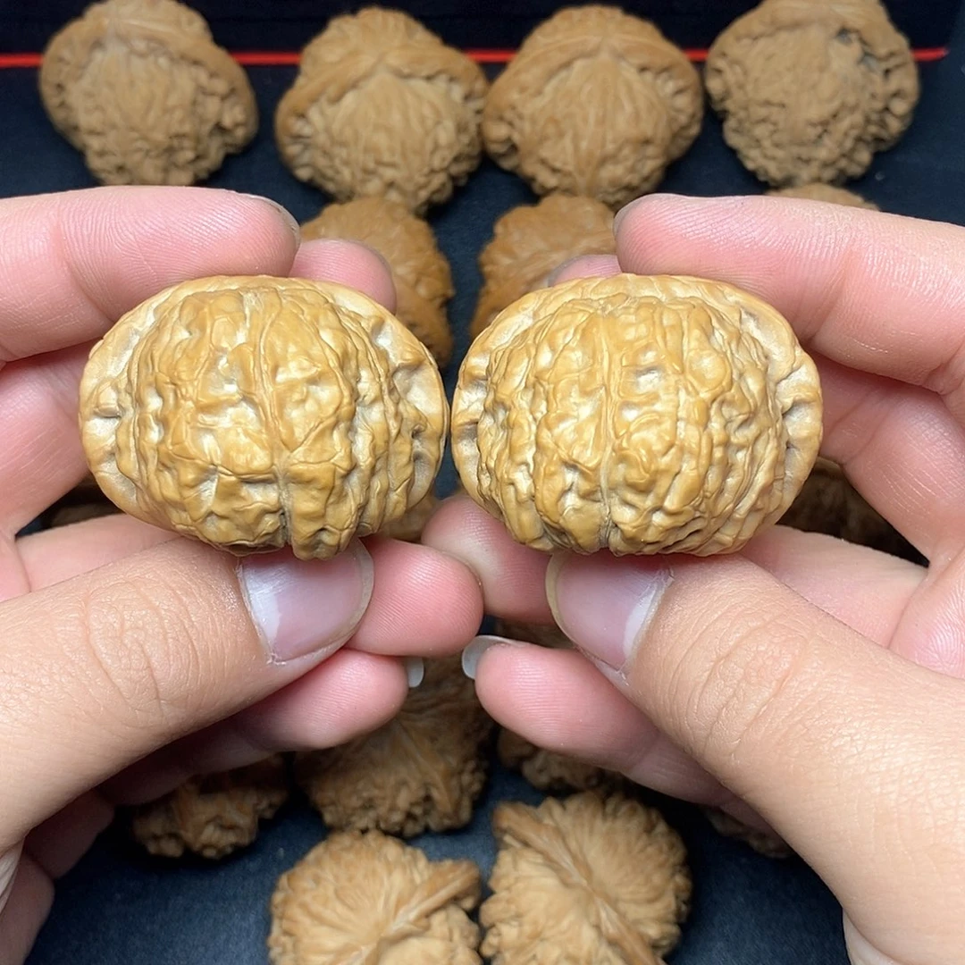 文玩核桃把件43南瓜肚48