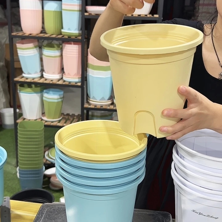 圆控口18高18混色5支无托