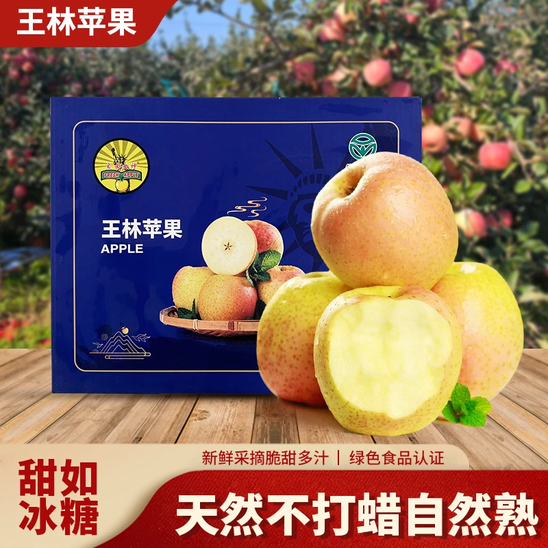 乡中香山东威海 雀斑王林苹果 自家果园产地直发京东快递送货上门