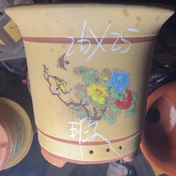 周三周四周三周四啧啧啧