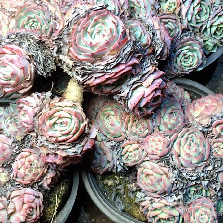 10////////////////////