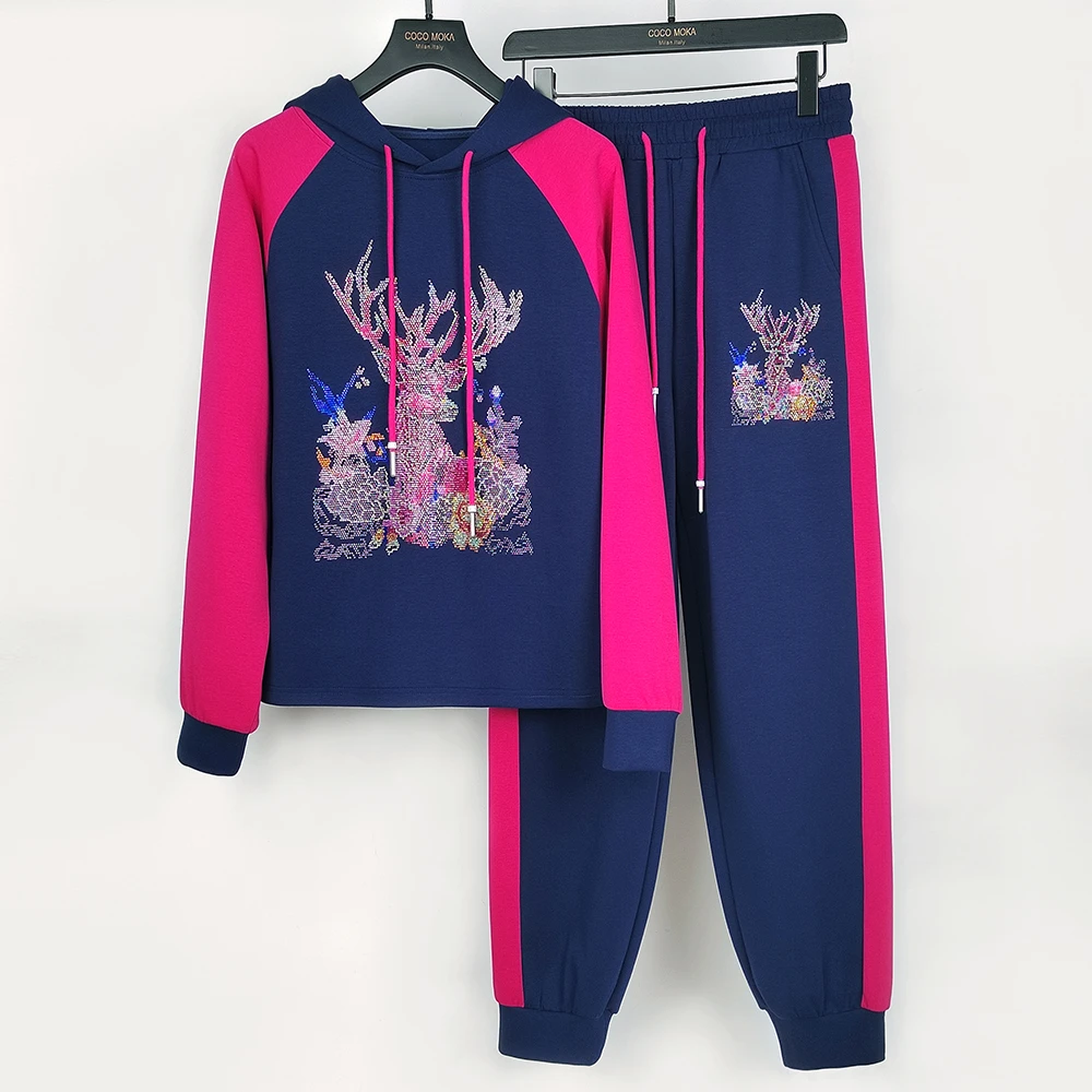 【藏玫银鹿】秋冬2025年新款休闲运动宽松女士都市套装【TZ564】