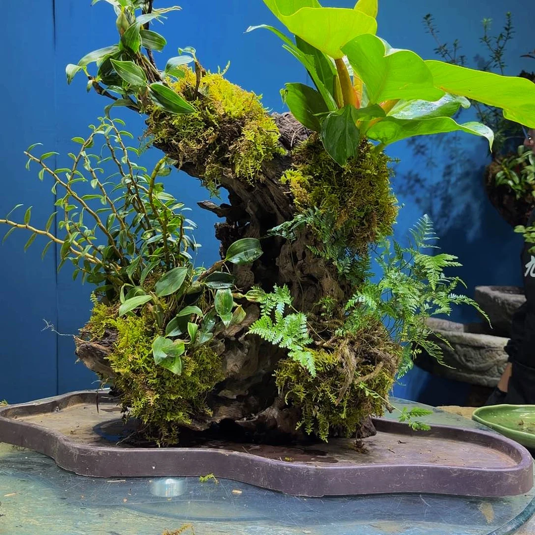 做***二无花朵私人定制11111111