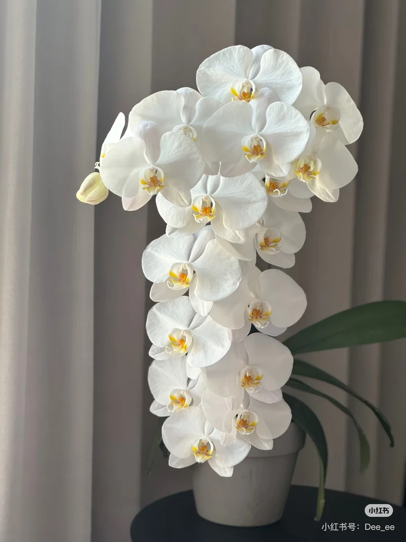 【大白V3】大型花 单花剑