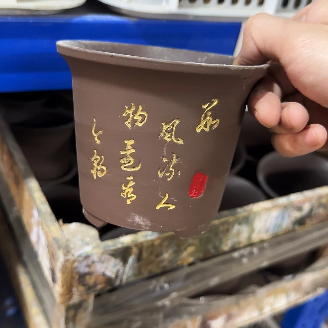 福利局绿植多肉盆［凑9元包邮24小时发］7028