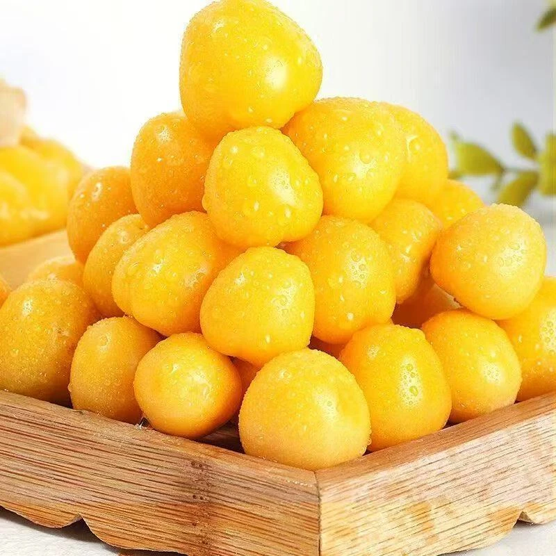 头茬新鲜采摘姑娘果当季甜灯笼果（富力价）