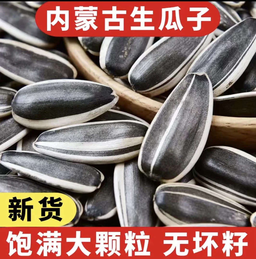 买一斤送一斤内蒙古新鲜原味大颗粒生葵花籽零食必备
