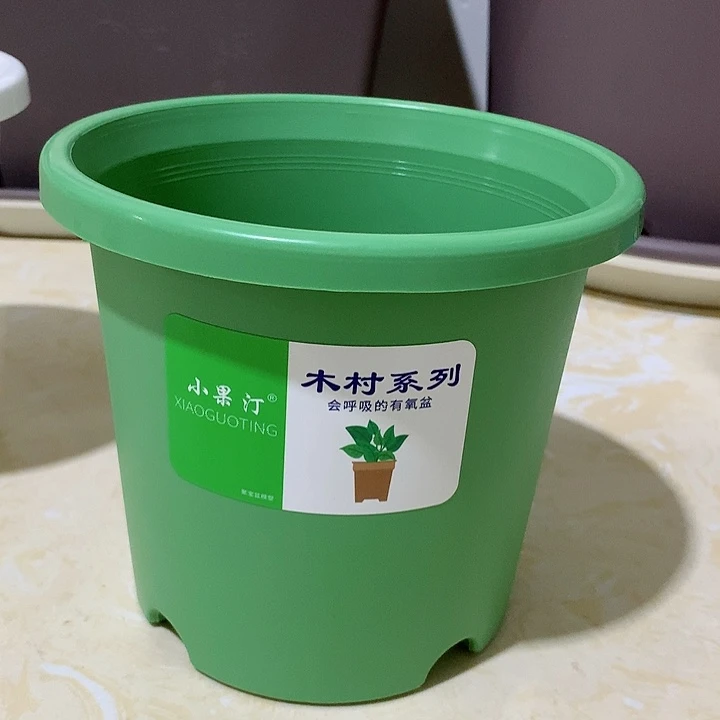 四季口15绿10个无托