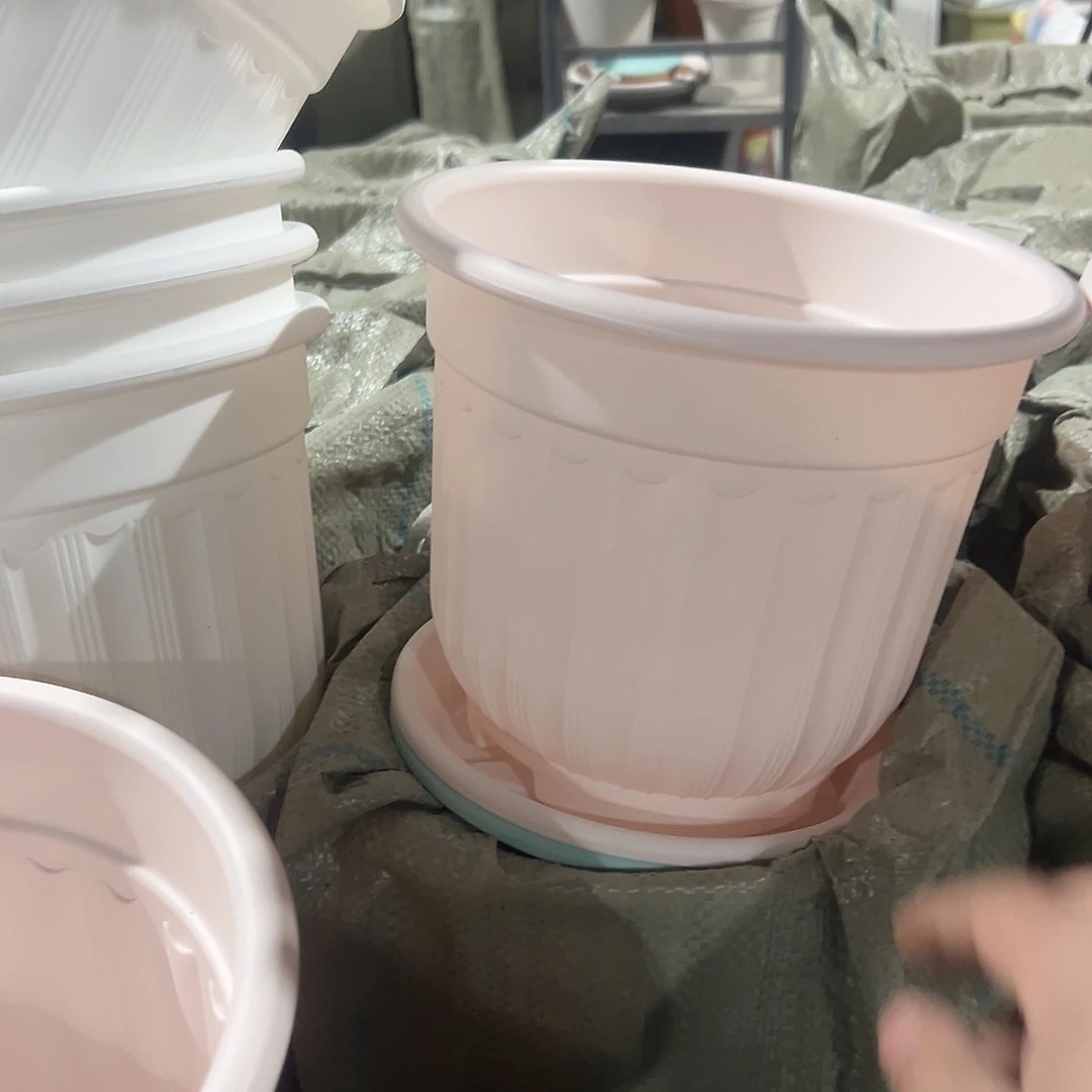 树脂罗马210粉4个带托