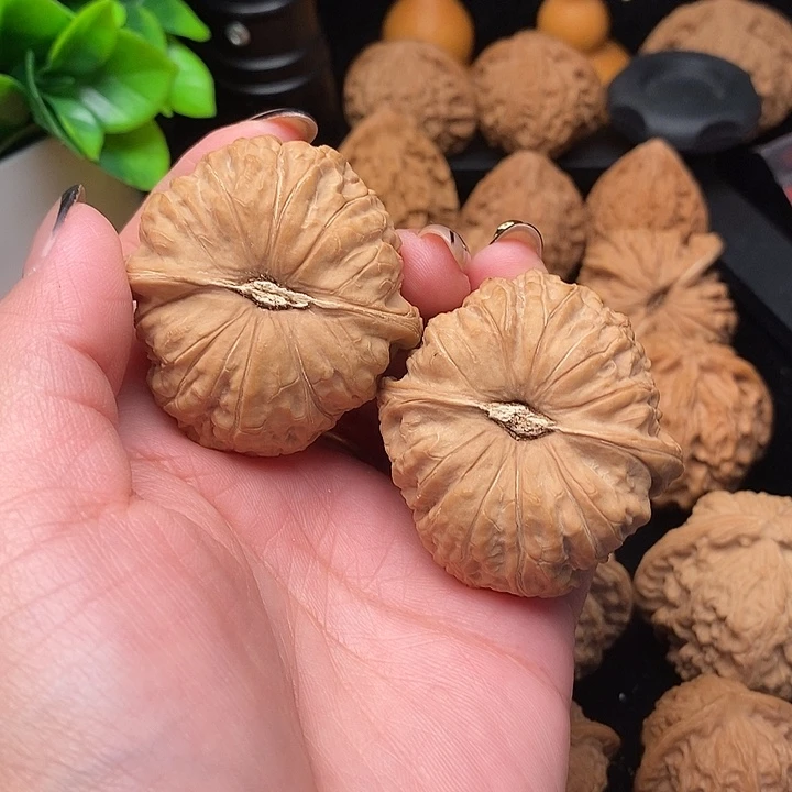 核桃南瓜墩南瓜墩