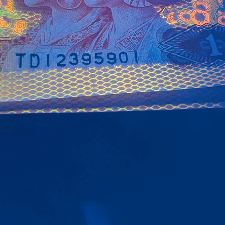 黄金圣龙特强荧光