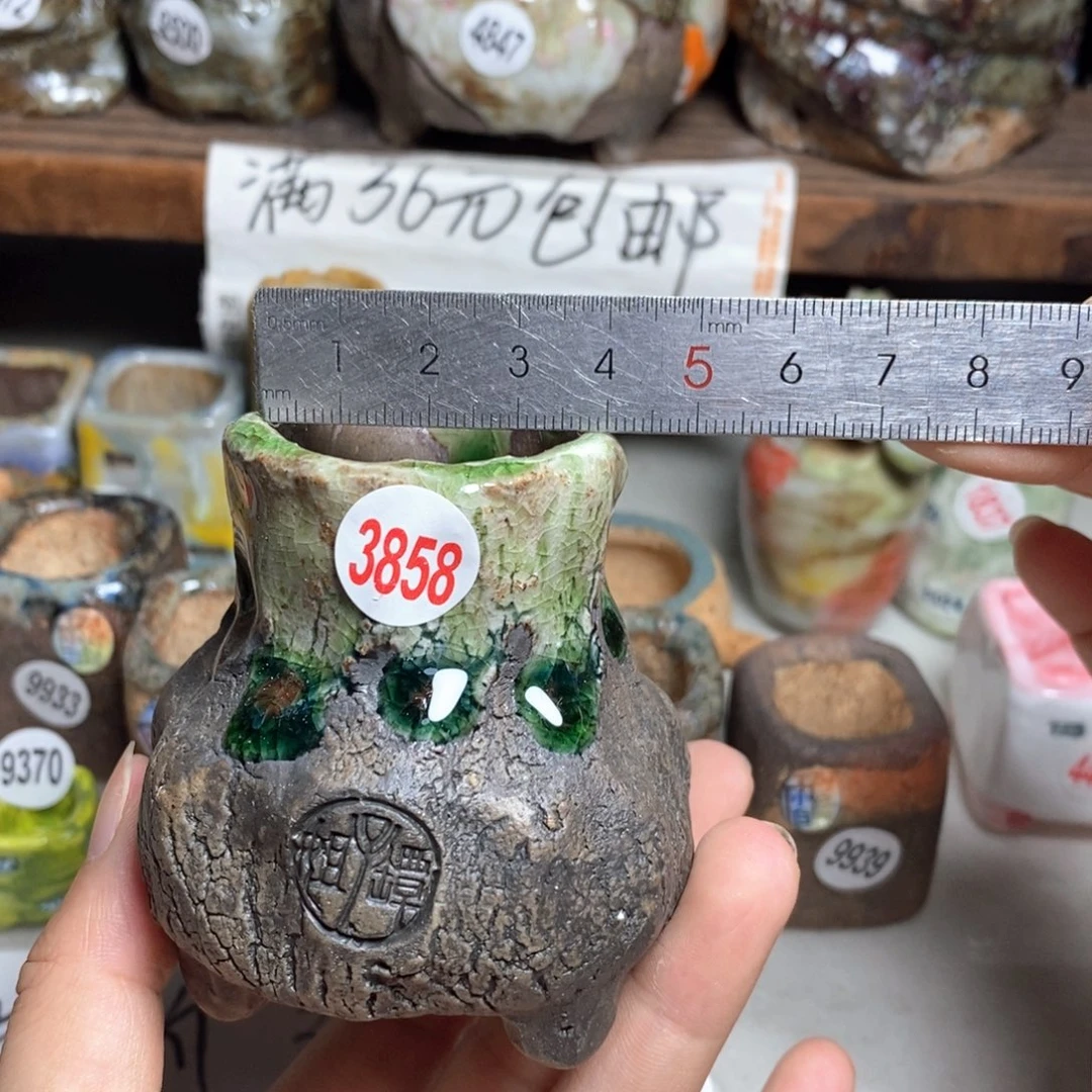 拍3送一个小礼物