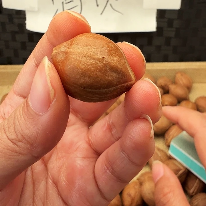 手串/手链橄榄核橄榄