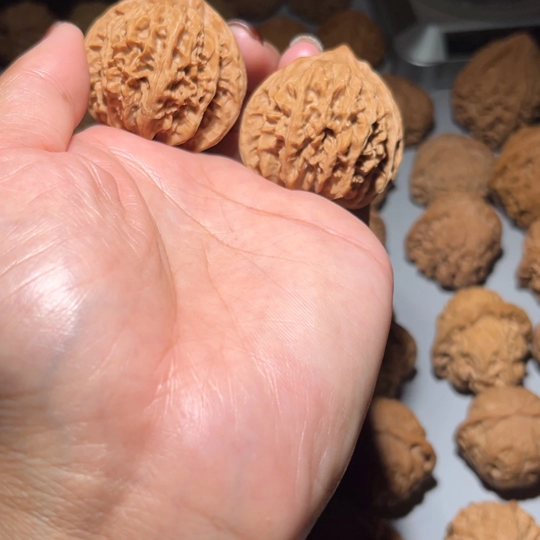 木质类血灯楼40全品