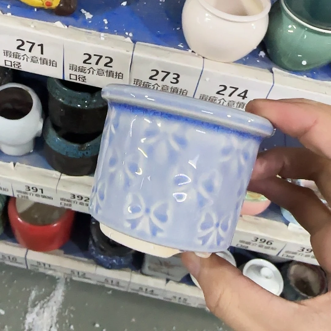 福利局绿植多肉盆［凑9元包邮24小时发］272