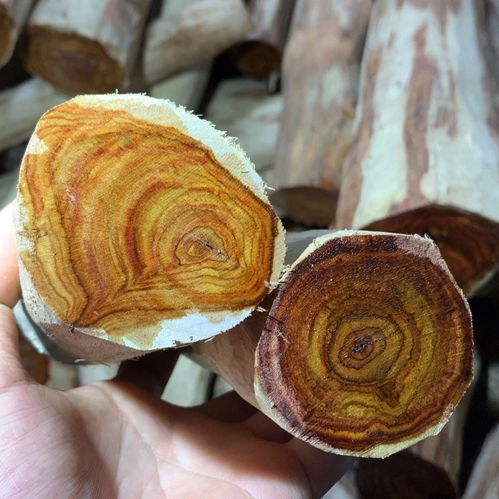 花梨木类海南黄花梨