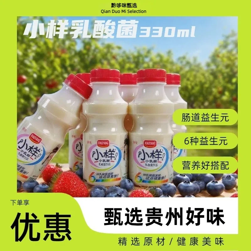 【黔哆咪甄选】小样乳酸菌视频饮料330ml乳酸菌饮料