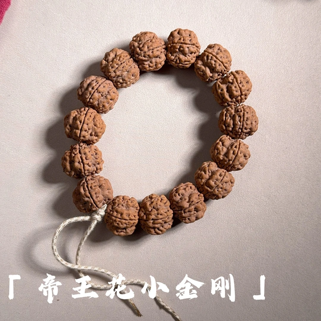 “天工”帝王花小金刚单圈手串