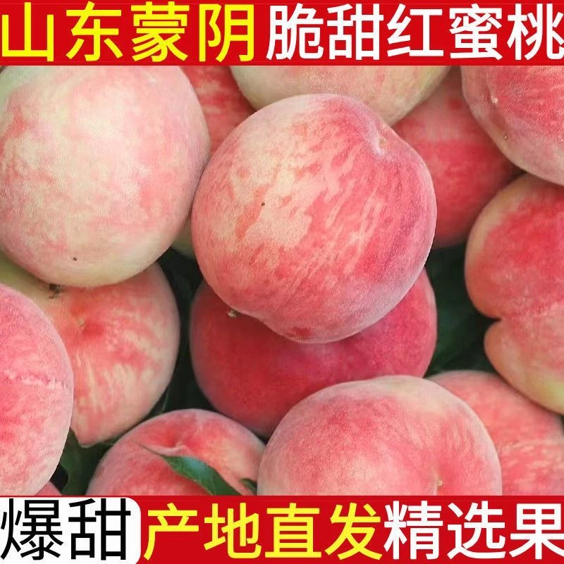 山东正宗蒙阴9号水蜜桃现摘现发一桃两吃应季新鲜水果桃子