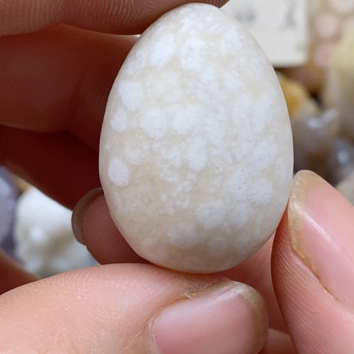 颈饰未镶嵌硅化珊瑚（珊瑚玉）有瑕 哑光