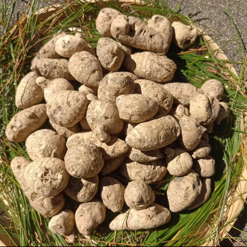 【小雪专属土特产】雪/三/七净含量250g