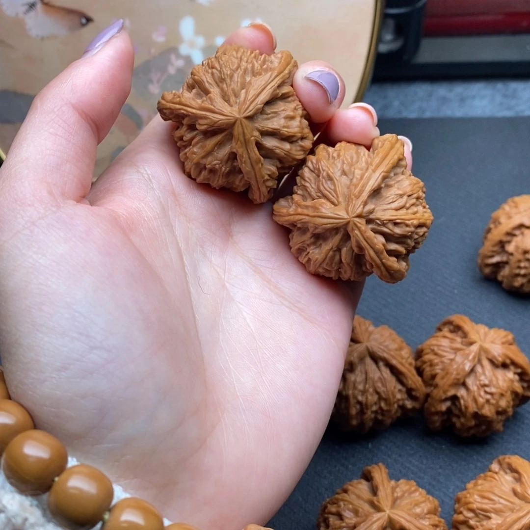 老*3白狮子1111111111