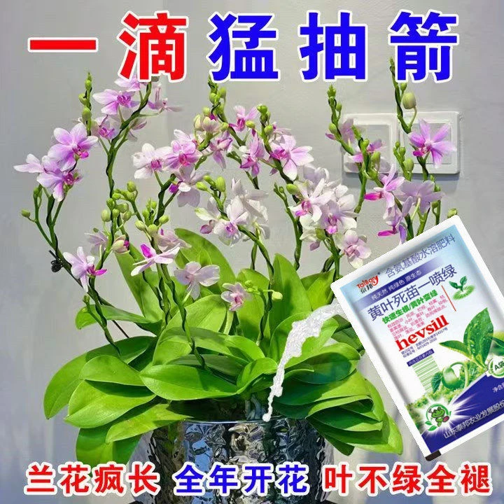 蝴蝶兰专业营养液促花箭促分芽救黄叶催开植物液体肥专用肥料