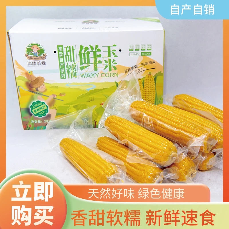 2024东北新黄糯玉米新鲜糯玉米黏玉米甜糯真空包装鲜食