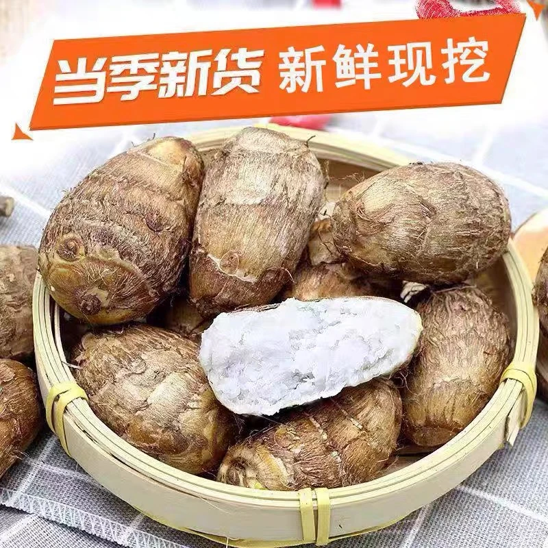 【精品芋头】云南新鲜现挖牛奶小芋头软糯香甜当季蔬菜芋艿
