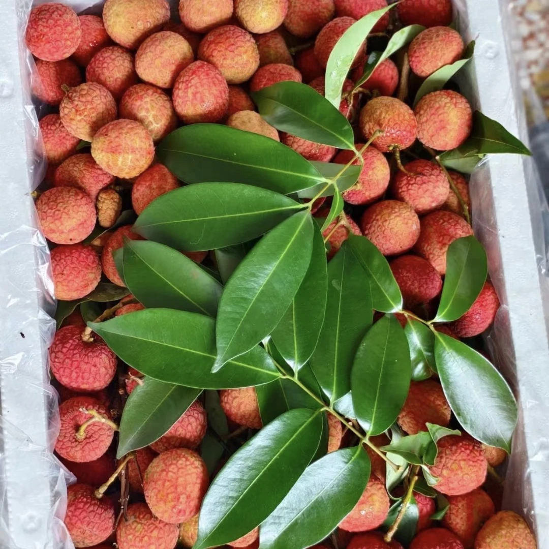 白糖罂荔枝（颗粒饱满）两斤广东省