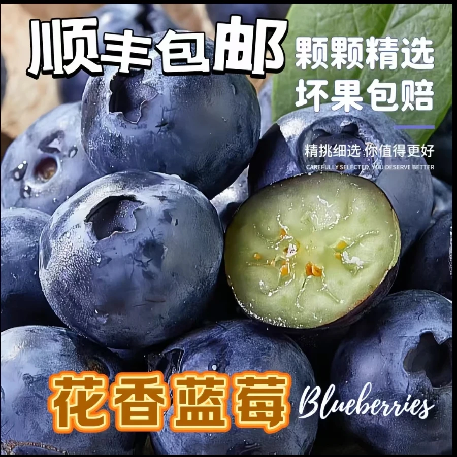 16盒 头茬特大果花香蓝莓 当天现摘现发20-16mm顺丰冷链送货上门c