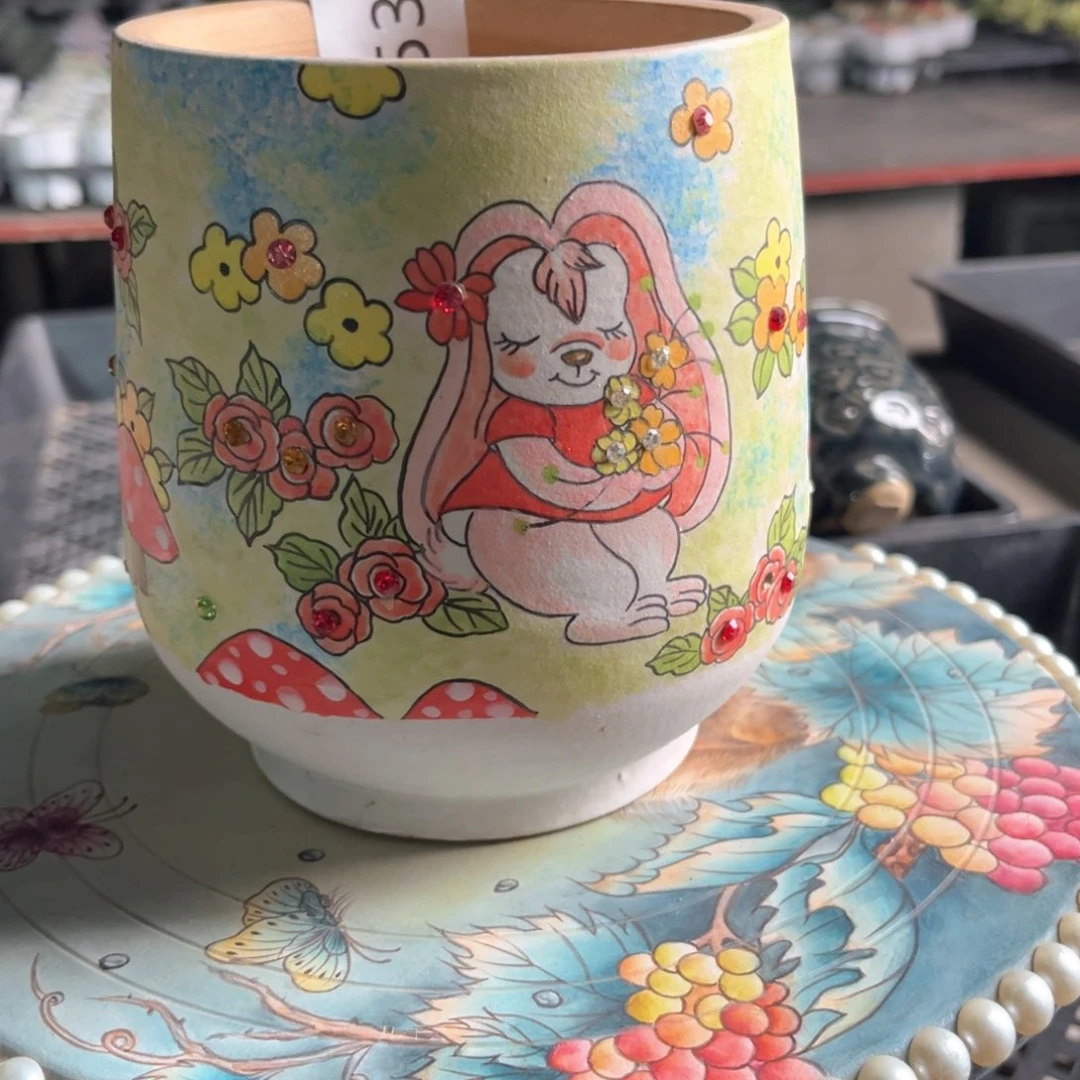 红陶木**舟534花盆瑕疵1个