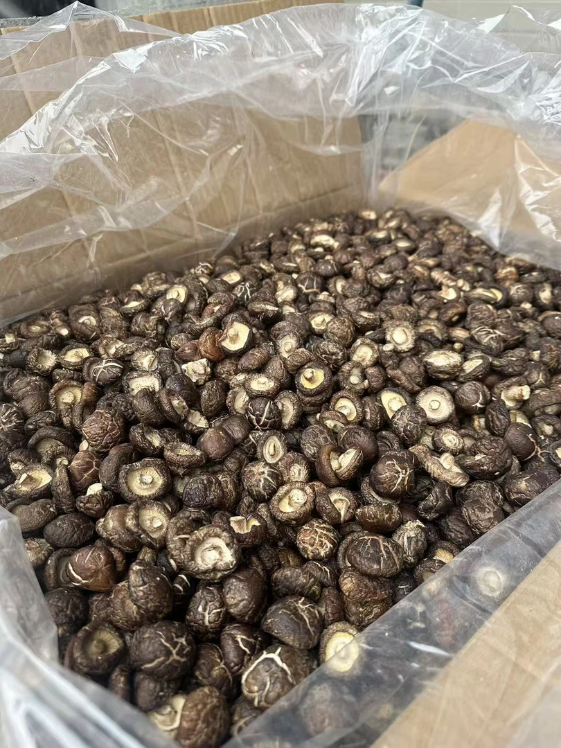 2025年春菇仔有来货了味道非常的香一包250克