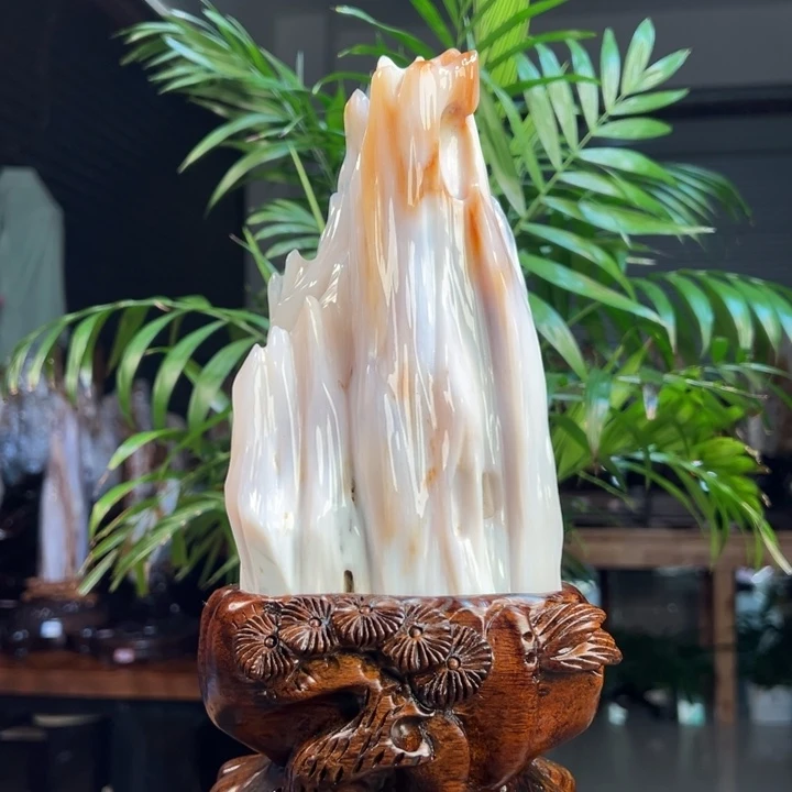 硅化玉（树化玉）未镶嵌珠宝奇石