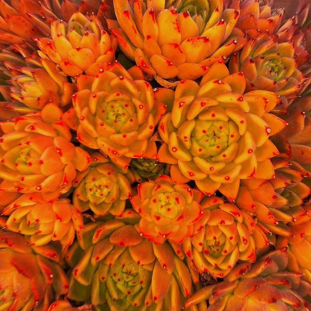 郭*哦哦哦哦哦哦哦哦哦哦哦哦我小杨