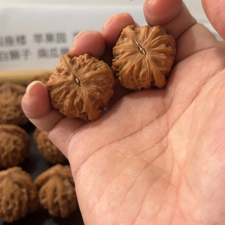 韩***哥把件文玩核桃35白狮子777