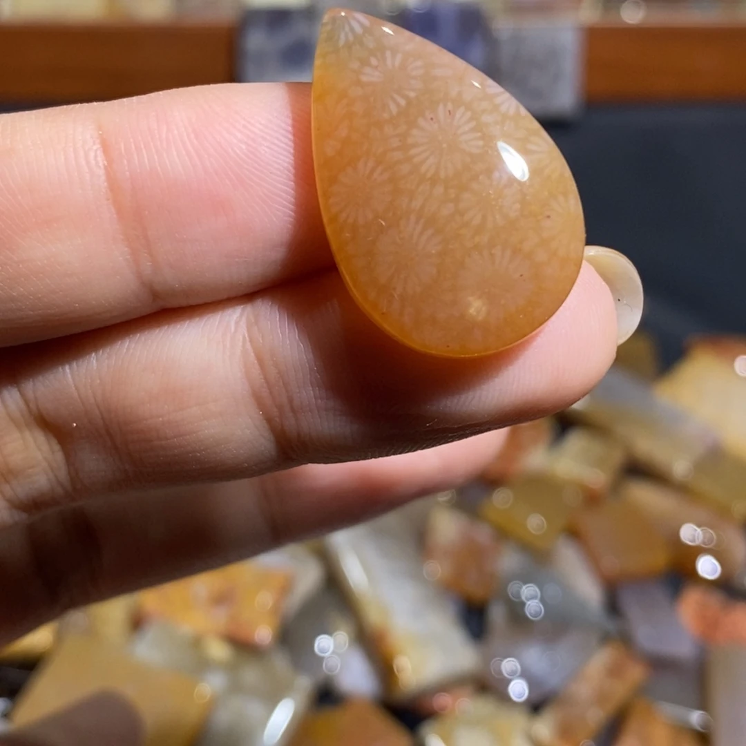 【闪购商品】未镶嵌珊瑚玉硅化玉